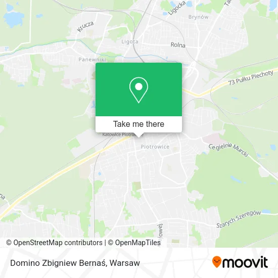 Карта Domino Zbigniew Bernaś