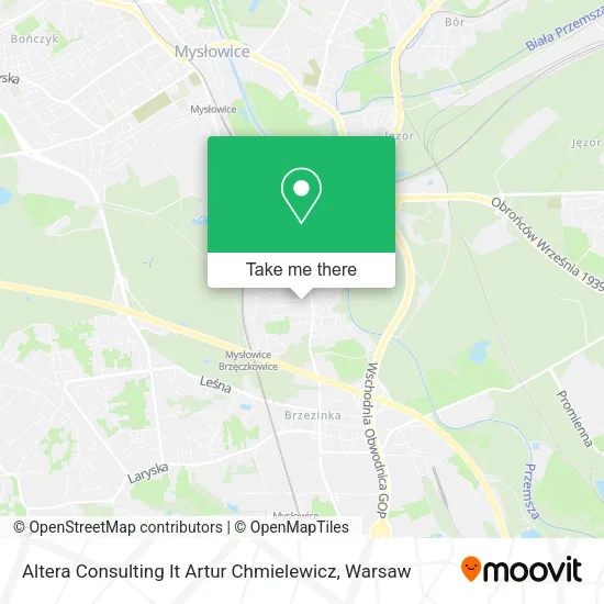 Карта Altera Consulting It Artur Chmielewicz