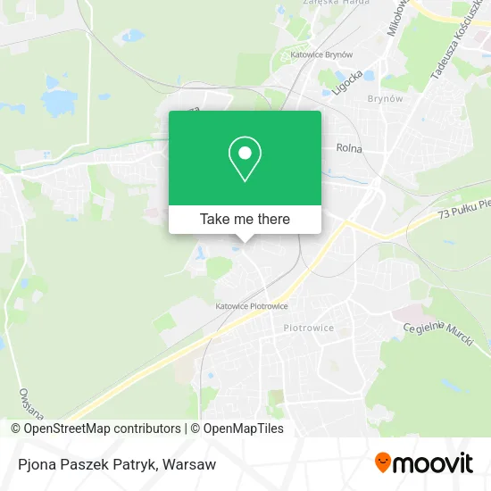 Карта Pjona Paszek Patryk