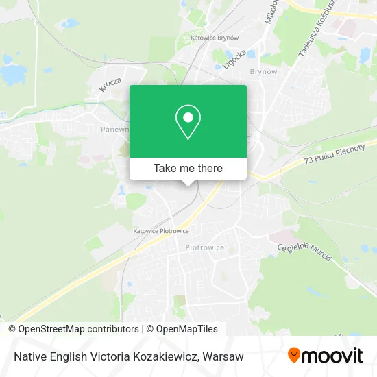 Карта Native English Victoria Kozakiewicz