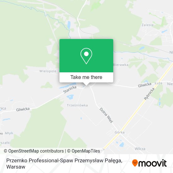 Карта Przemko Professional-Spaw Przemysław Pałęga