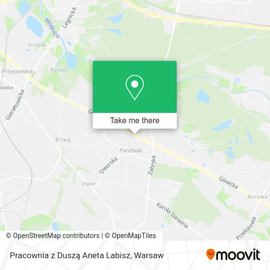 Pracownia z Duszą Aneta Labisz map