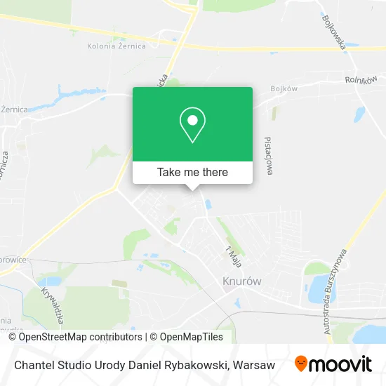 Карта Chantel Studio Urody Daniel Rybakowski