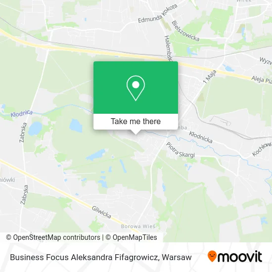 Карта Business Focus Aleksandra Fifagrowicz