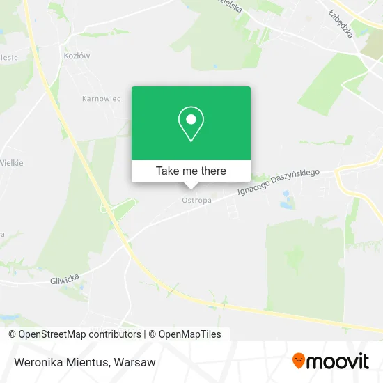 Карта Weronika Mientus