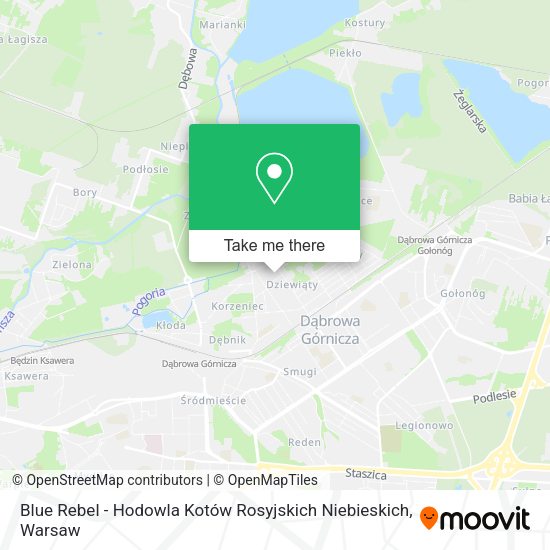 Blue Rebel - Hodowla Kotów Rosyjskich Niebieskich map