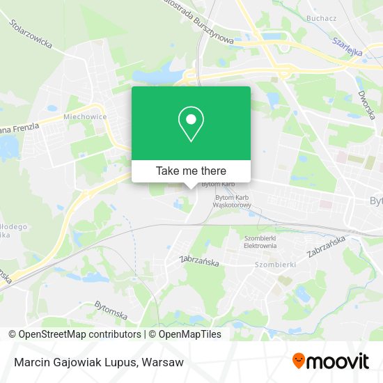 Marcin Gajowiak Lupus map