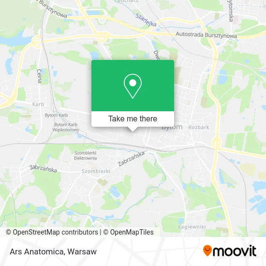 Карта Ars Anatomica