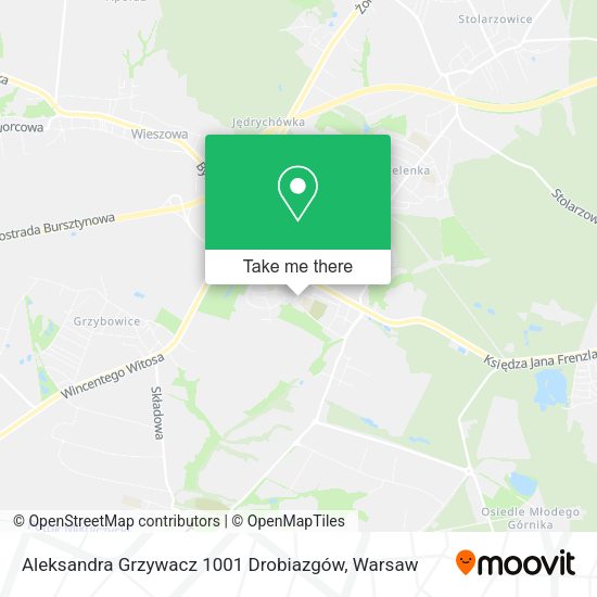 Aleksandra Grzywacz 1001 Drobiazgów map