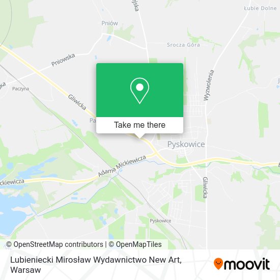 Lubieniecki Mirosław Wydawnictwo New Art map