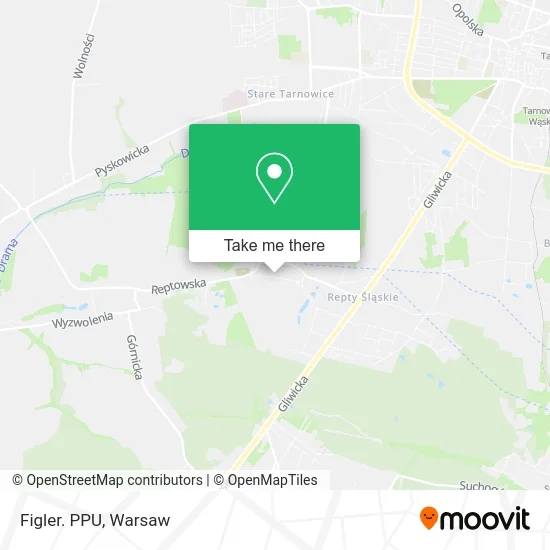 Карта Figler. PPU