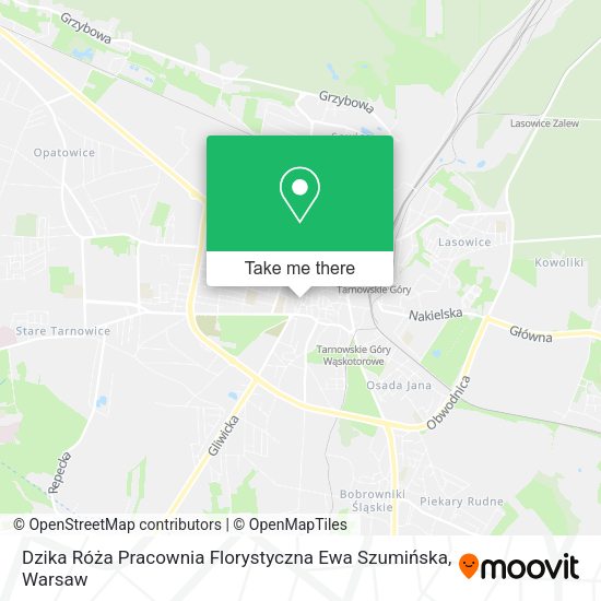 Dzika Róża Pracownia Florystyczna Ewa Szumińska map