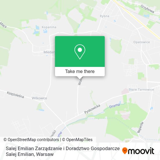 Карта Salej Emilian Zarządzanie i Doradztwo Gospodarcze Salej Emilian