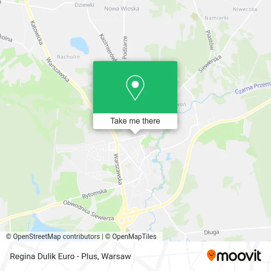 Карта Regina Dulik Euro - Plus