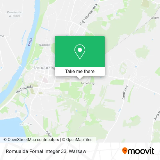 Карта Romualda Fornal Integer 33