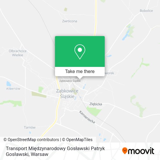 Карта Transport Międzynarodowy Gosławski Patryk Gosławski