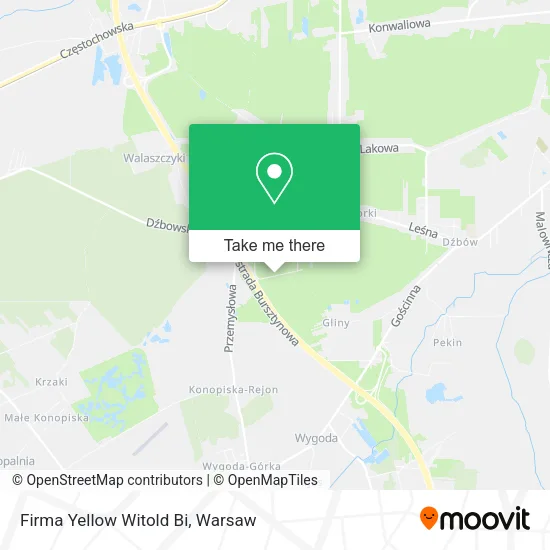 Карта Firma Yellow Witold Bi