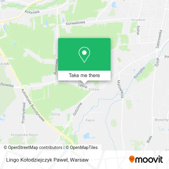 Карта Lingo Kołodziejczyk Paweł