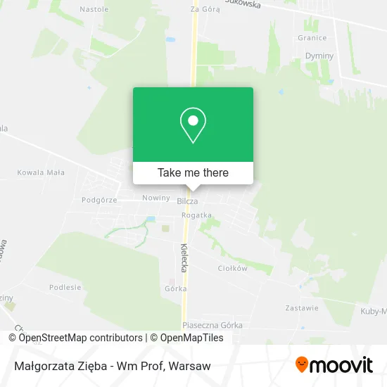 Małgorzata Zięba - Wm Prof map