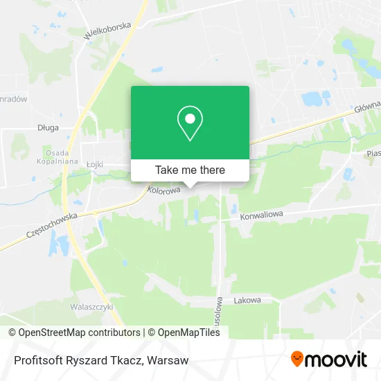 Карта Profitsoft Ryszard Tkacz