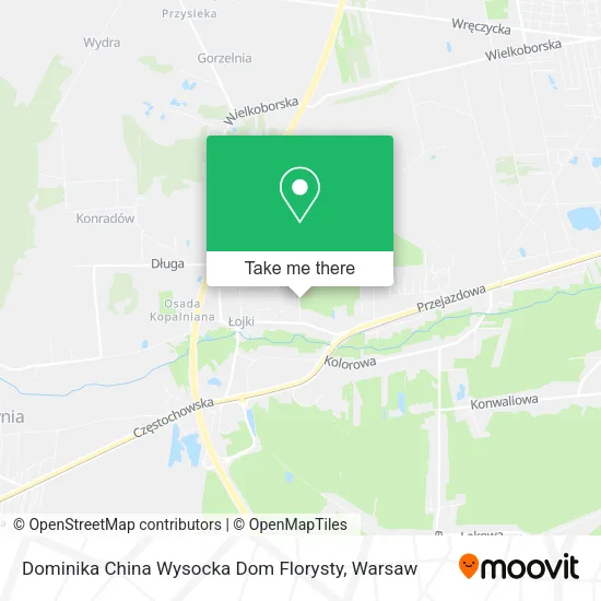 Карта Dominika China Wysocka Dom Florysty