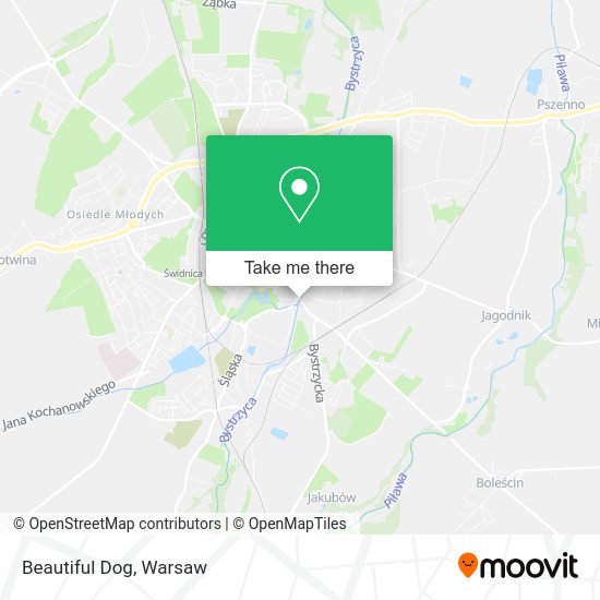 Beautiful Dog map