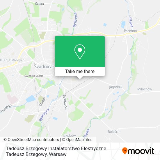 Tadeusz Brzegowy Instalatorstwo Elektryczne Tadeusz Brzegowy map