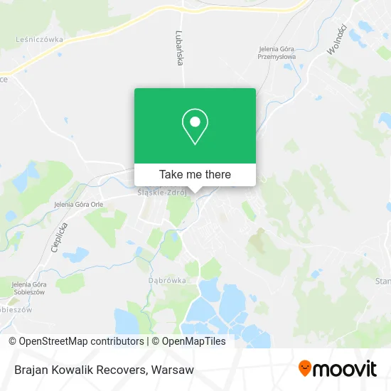 Карта Brajan Kowalik Recovers