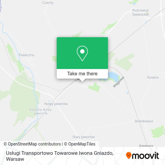 Карта Usługi Transportowo Towarowe Iwona Gniazdo