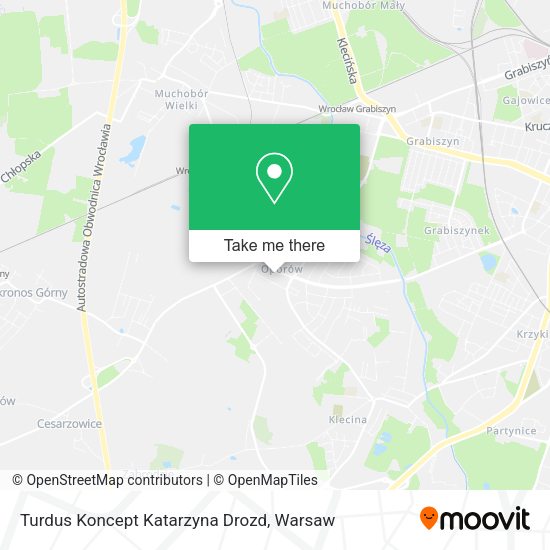 Turdus Koncept Katarzyna Drozd map