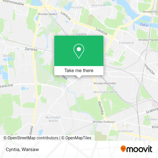 Карта Cyntia
