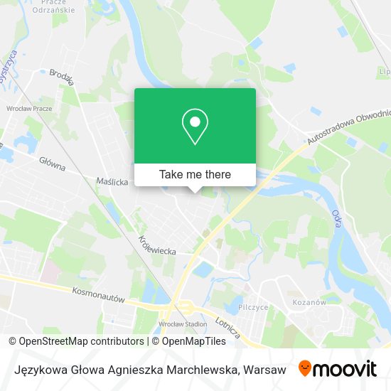 Карта Językowa Głowa Agnieszka Marchlewska