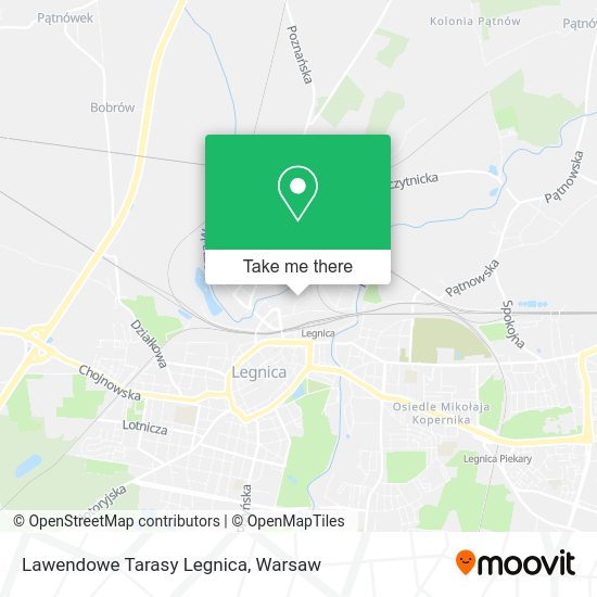 Lawendowe Tarasy Legnica map