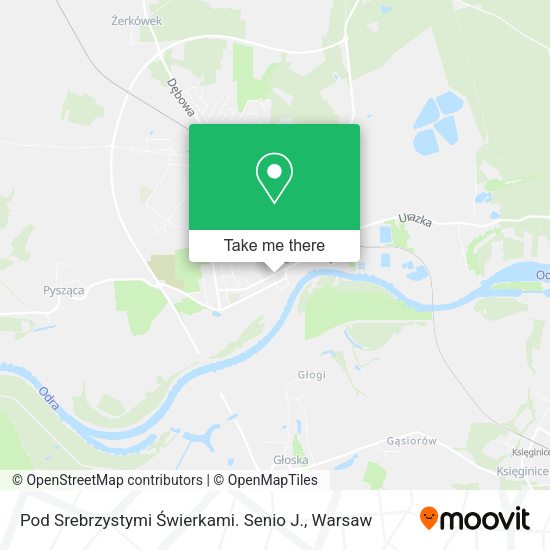 Pod Srebrzystymi Świerkami. Senio J. map