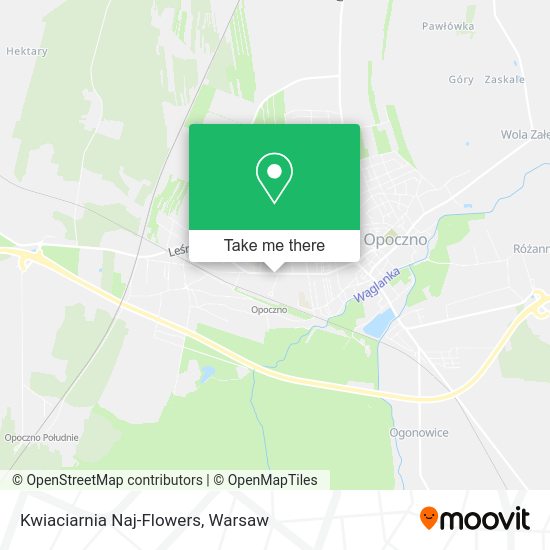 Kwiaciarnia Naj-Flowers map