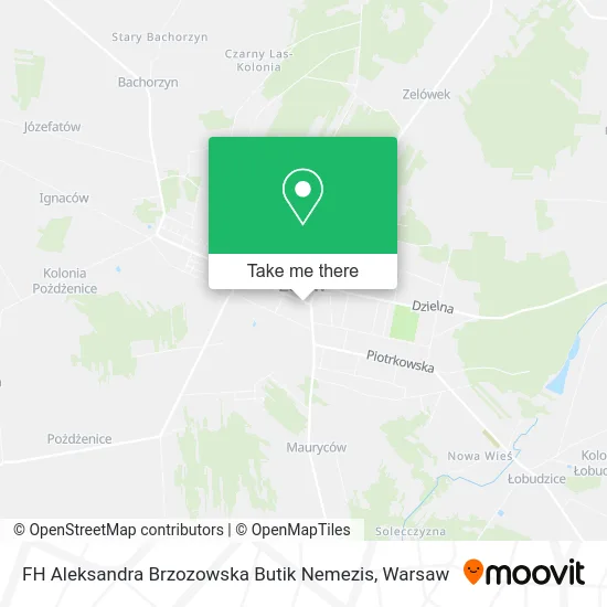 Карта FH Aleksandra Brzozowska Butik Nemezis