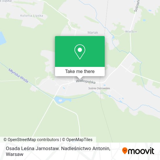 Osada Leśna Jarnostaw. Nadleśnictwo Antonin map