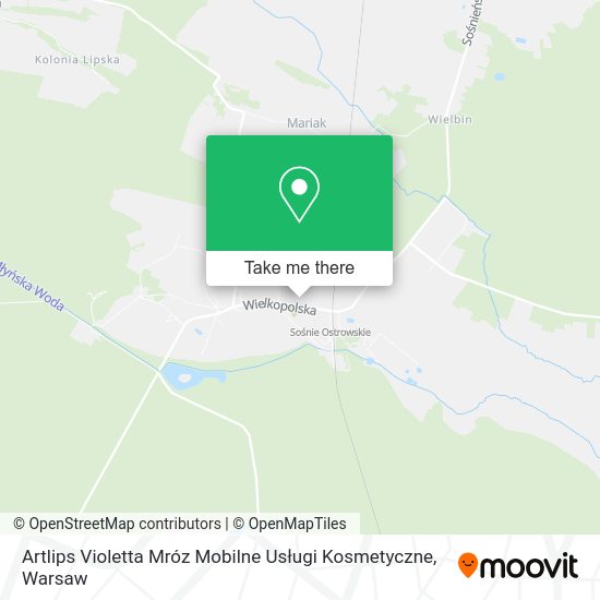 Карта Artlips Violetta Mróz Mobilne Usługi Kosmetyczne