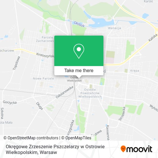 Okręgowe Zrzeszenie Pszczelarzy w Ostrowie Wielkopolskim map