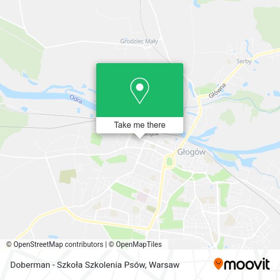 Doberman - Szkoła Szkolenia Psów map