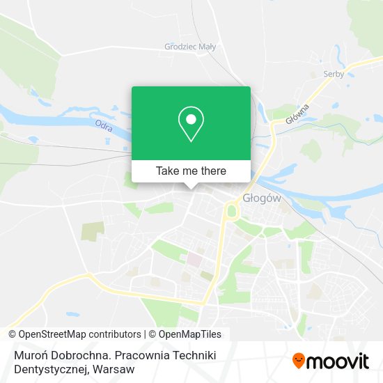 Muroń Dobrochna. Pracownia Techniki Dentystycznej map