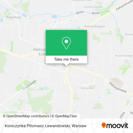 Карта Koniczynka Pltomasz Lewandowski
