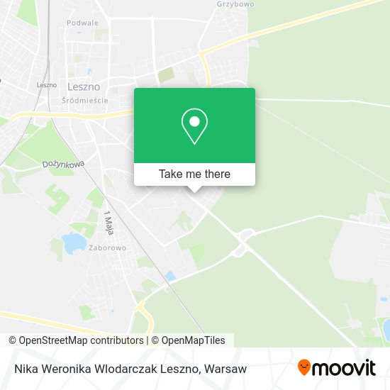 Nika Weronika Wlodarczak Leszno map