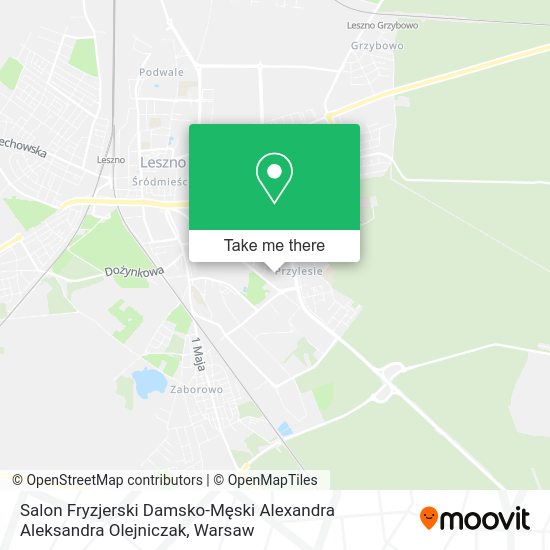 Salon Fryzjerski Damsko-Męski Alexandra Aleksandra Olejniczak map