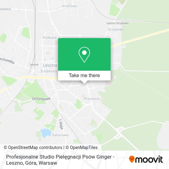 Profesjonalne Studio Pielęgnacji Psów Ginger - Leszno, Góra map