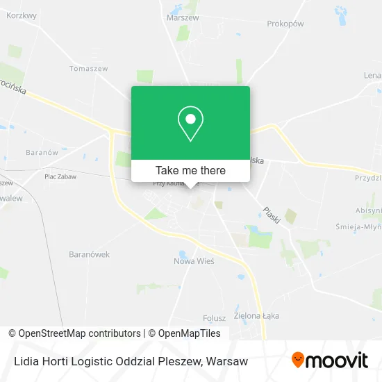 Карта Lidia Horti Logistic Oddzial Pleszew