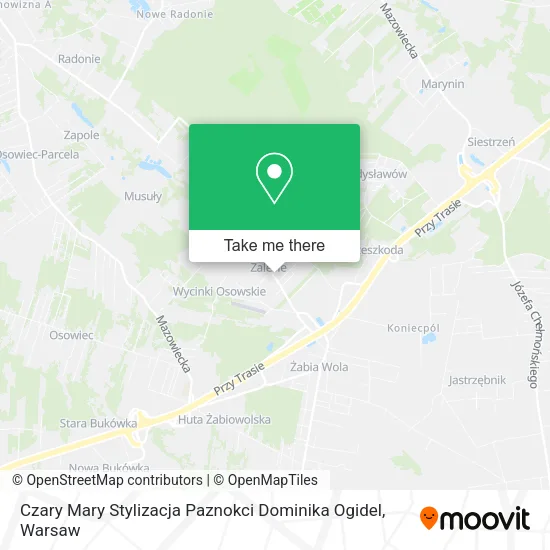 Карта Czary Mary Stylizacja Paznokci Dominika Ogidel
