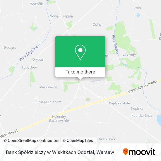 Bank Spółdzielczy w Wiskitkach Oddział map