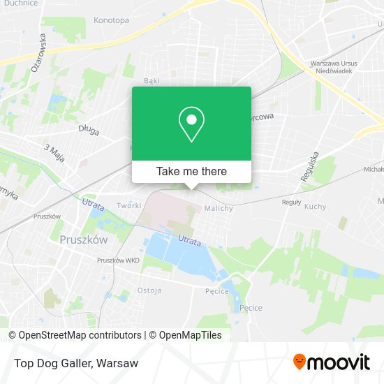 Top Dog Galler map