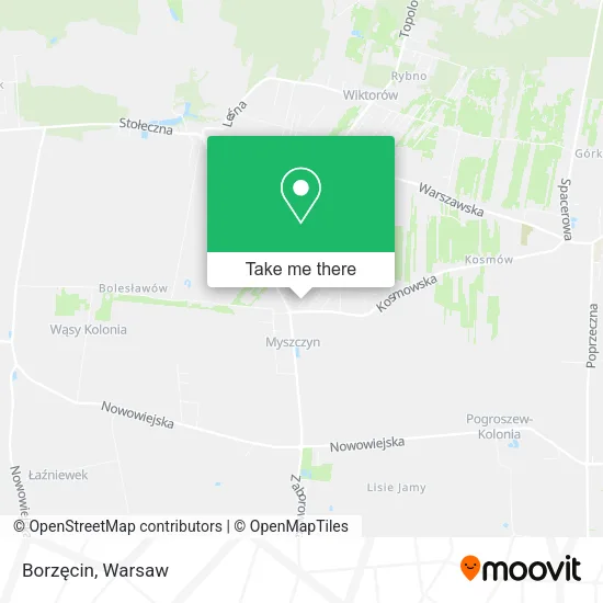 Borzęcin map